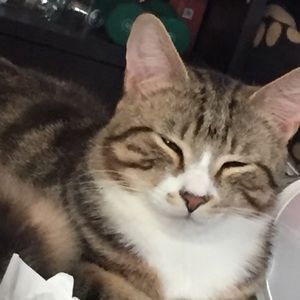 Meet your Posher, Josie